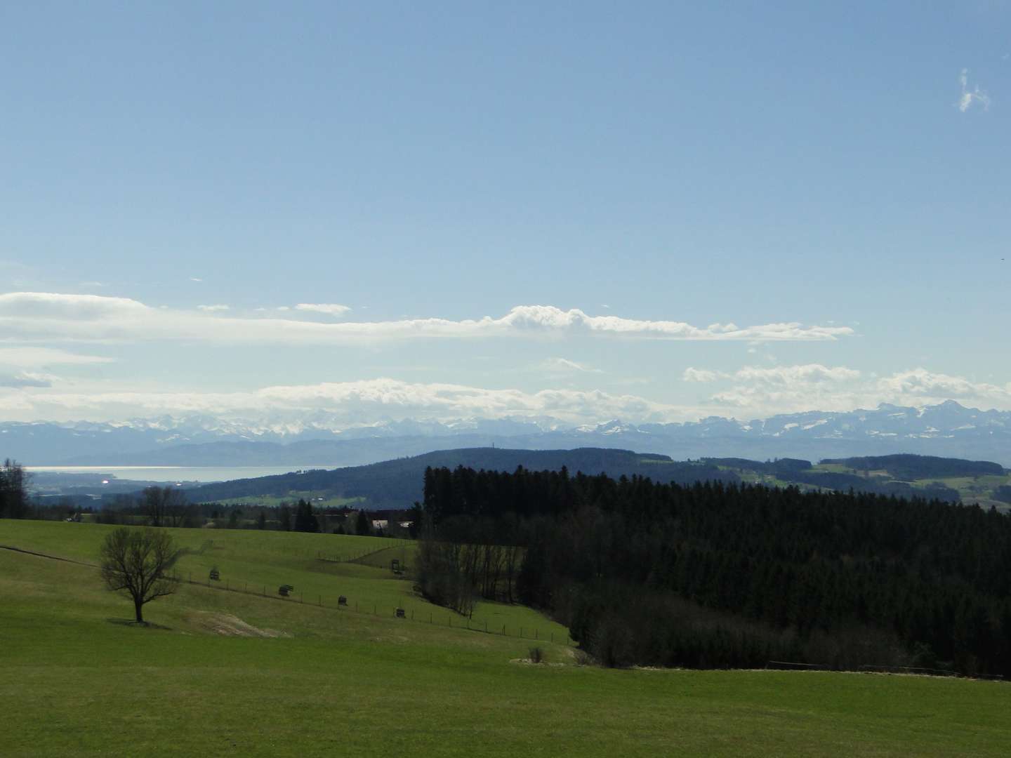 Höchsten Auszeit - mit Blick auf Bodensee & Alpen  genießen