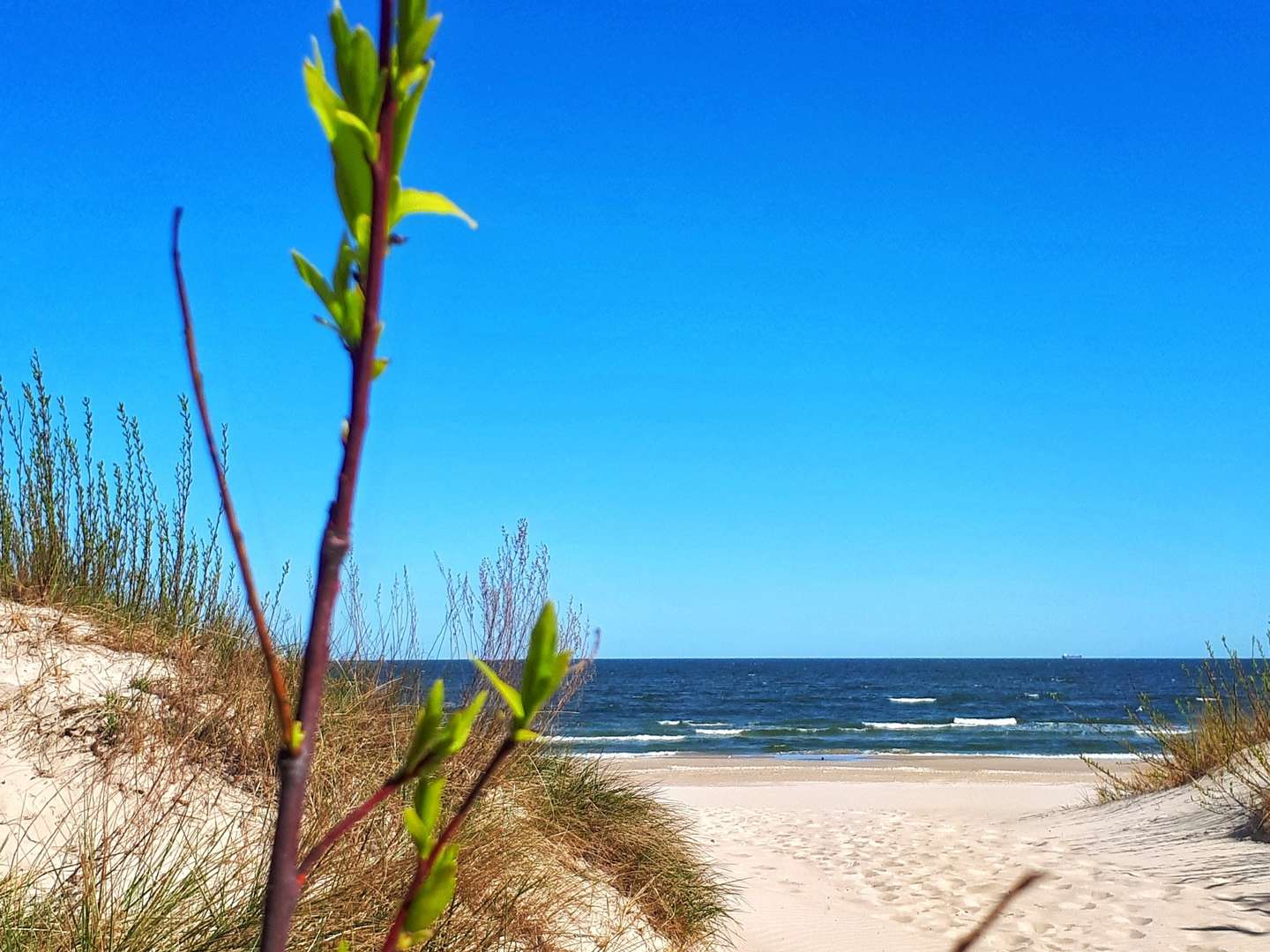 Kurzurlaub an der Ostsee in Swinemünde | 4 Tage mit HP    