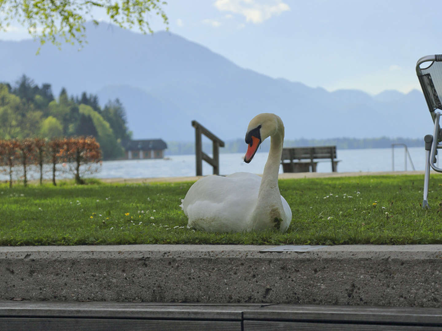 Zauberhafte Auszeit direkt am Wolfgangsee | 3 Nächte