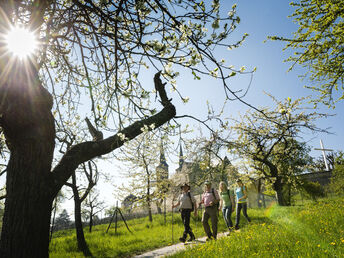 3 Tage Erholung & Genuss bei Bamberg inkl. Therme & Halbpension