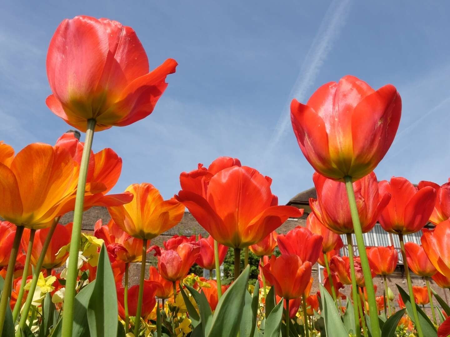 Entspannung und Natur in der Provinz Garderen Niederlande  4 Nächte 