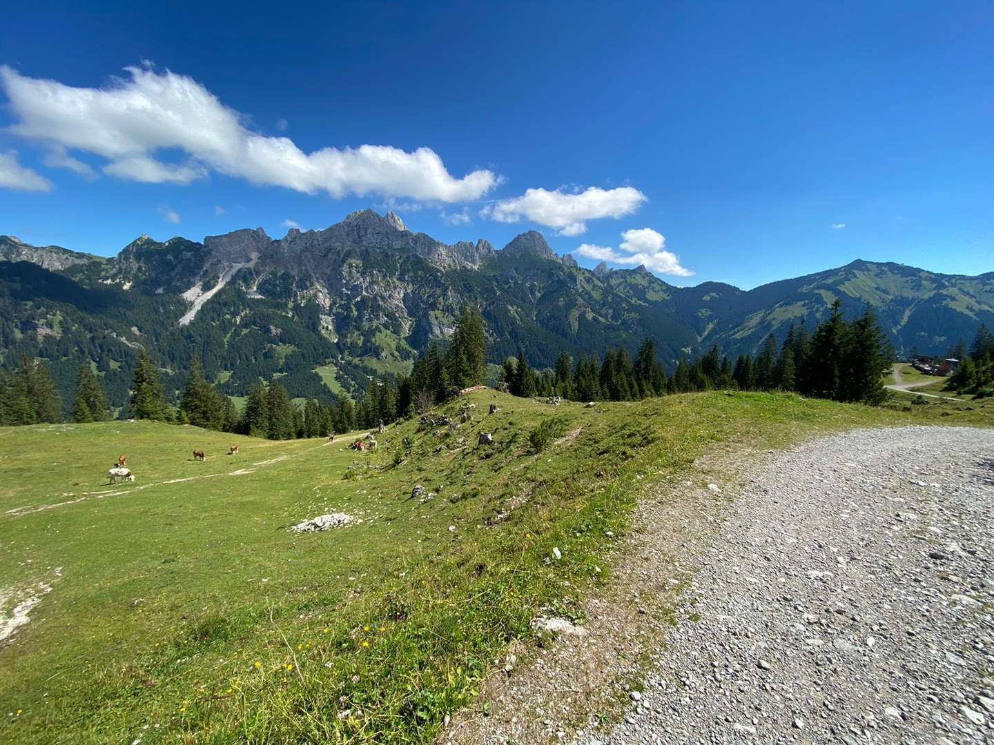 Sommermärchen am Haldensee inkl. Private Dinner & Picknickkorb & Wellnessgutschein