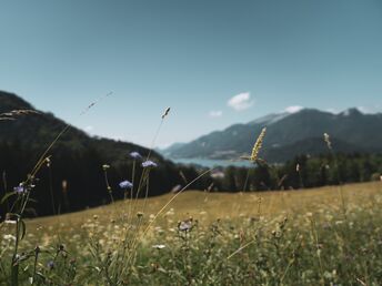 Herbsttage am Wolfgangsee -  Special