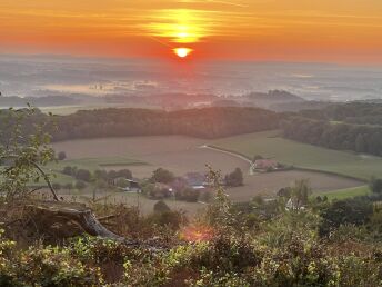 3 Tage Kurzurlaub am Teutoburger Wald | Mix aus City-Trip in Bielefeld & Natur pur