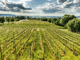 7 Tage Kurzurlaub - Auszeit vom Alltag am Bodensee