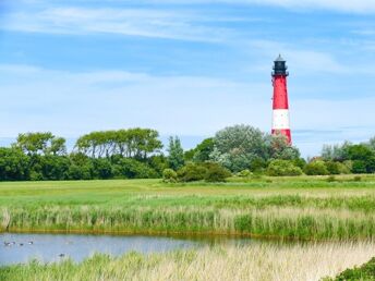 Kurzentschlossen an die Nordsee