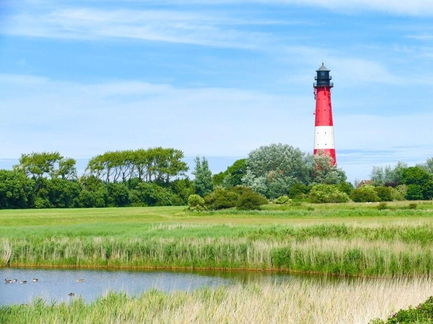 Kurzentschlossen an die Nordsee