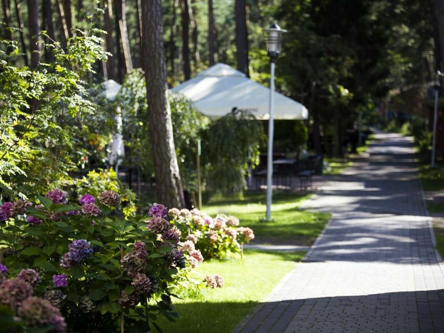 Wellness in Stolpmünde 300 M vom Strand | 6ÜHP 