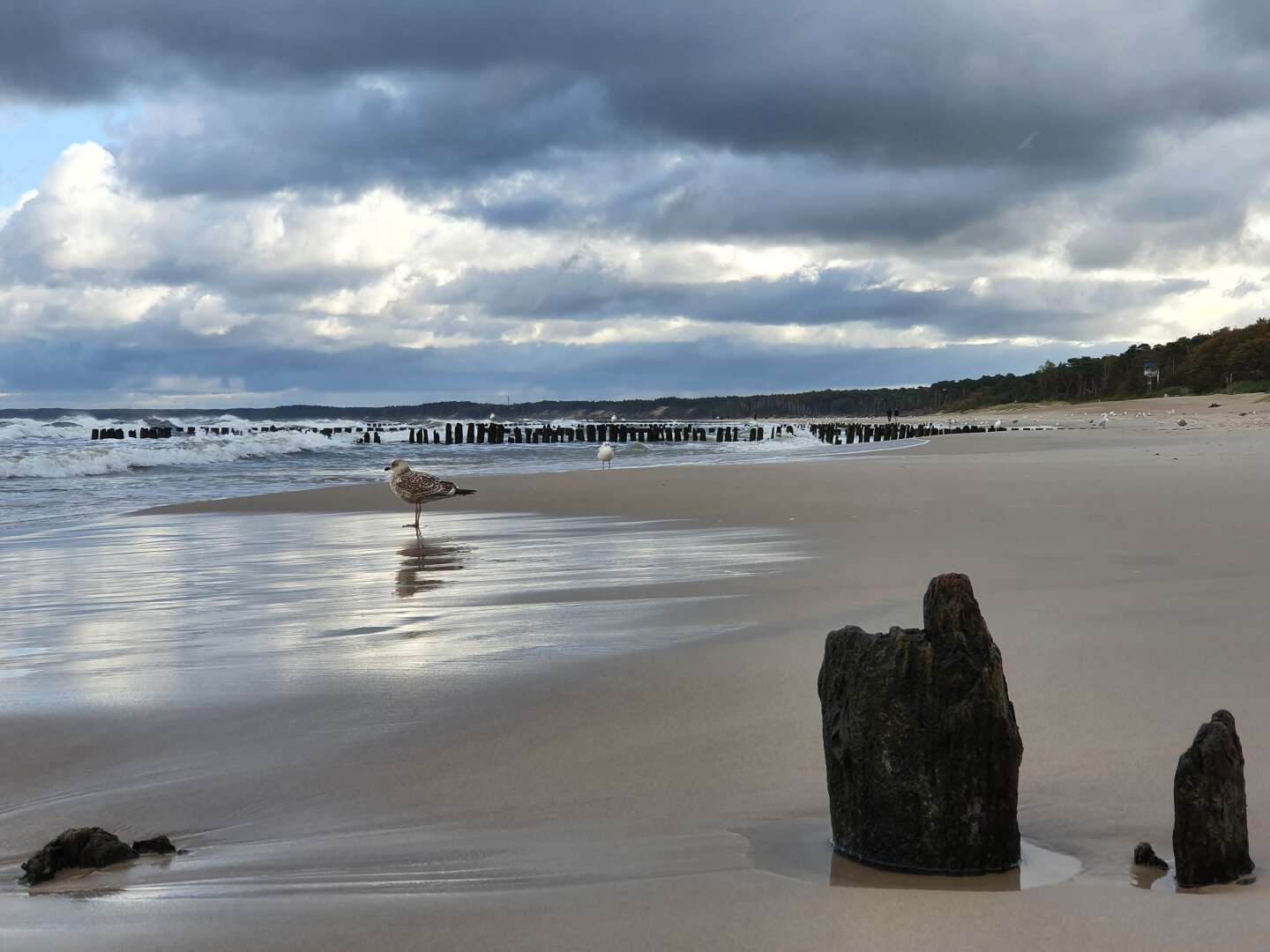 Wellness in Stolpmünde 300 M vom Strand | 7ÜHP  