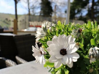 Romantische Stunden zu Zweit im Erzgebirge