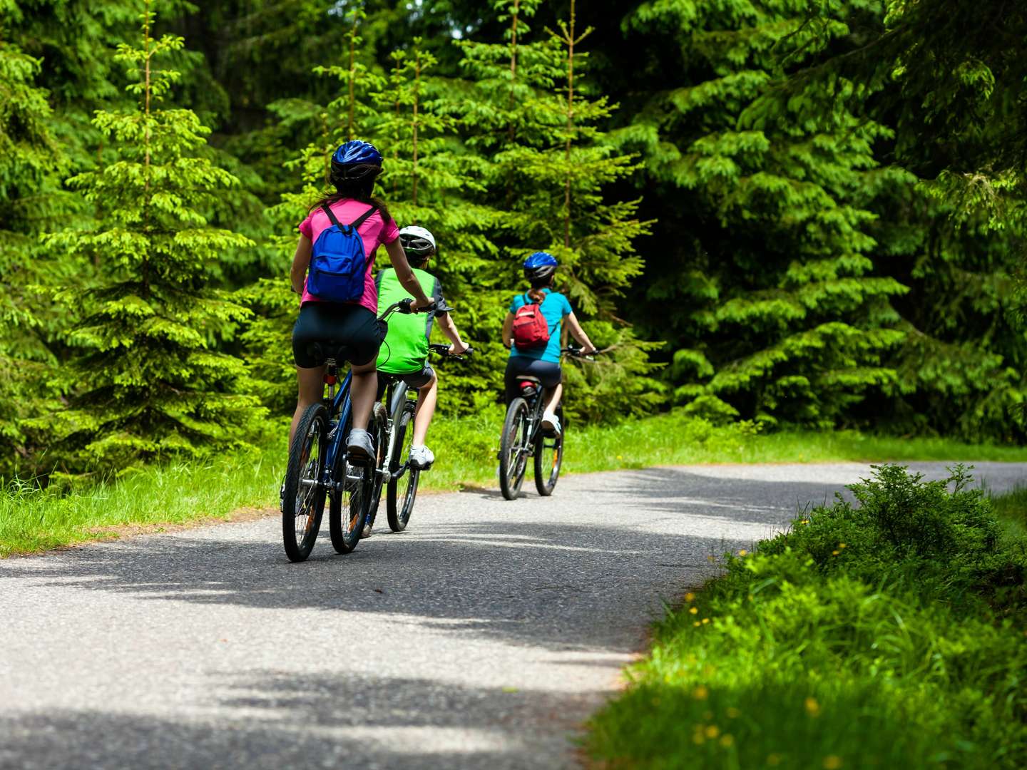 Mit dem Fahrrad das wunderschöne Erzgebirge 4 Tage erkunden inkl. Halbpension