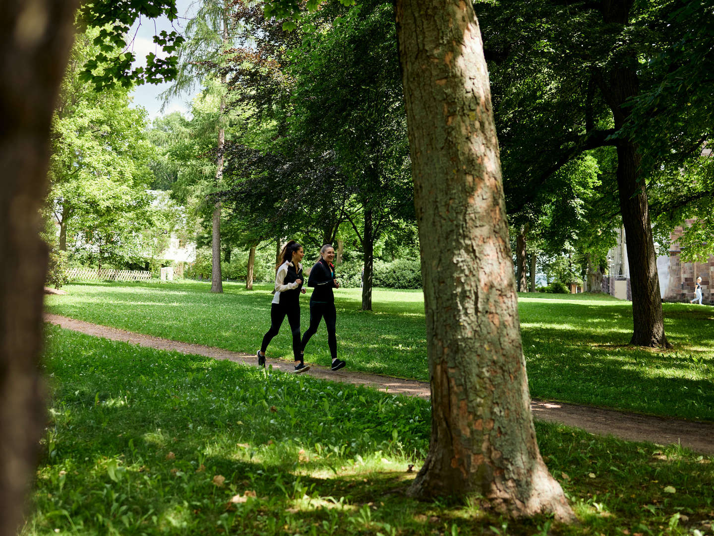 Der frühe Vogel-Kulturhauptstadt 2025 entdecken