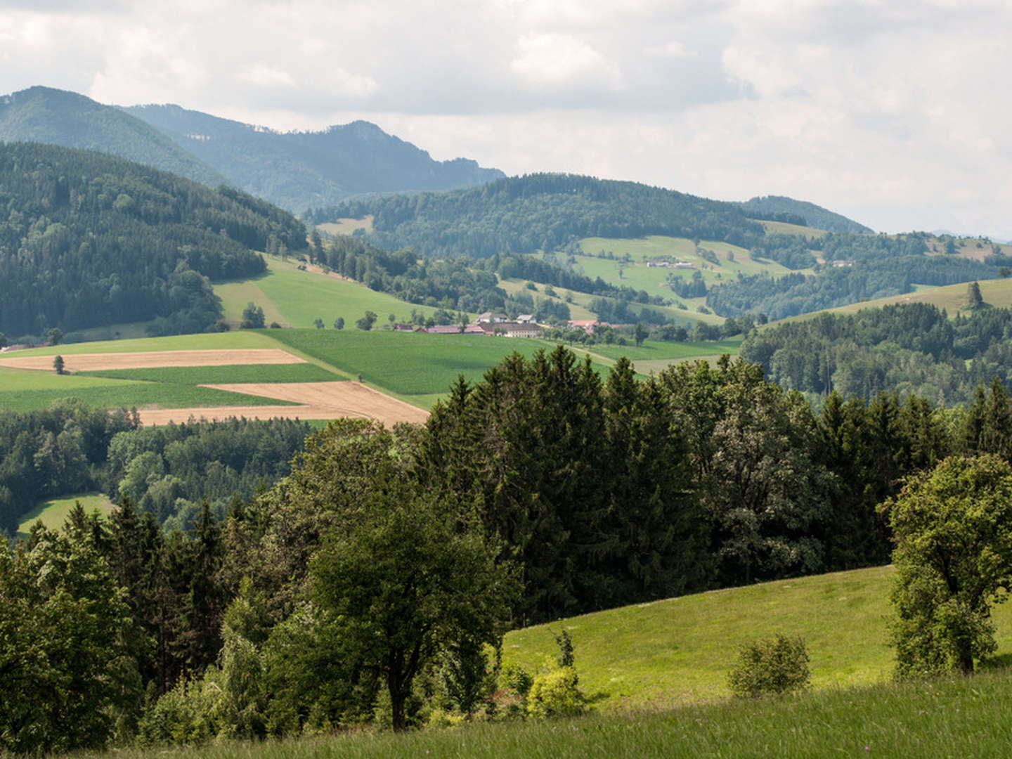 Städtekurztrip im Lifestyle-Hotel - Steyr entdecken | 2 Nächte