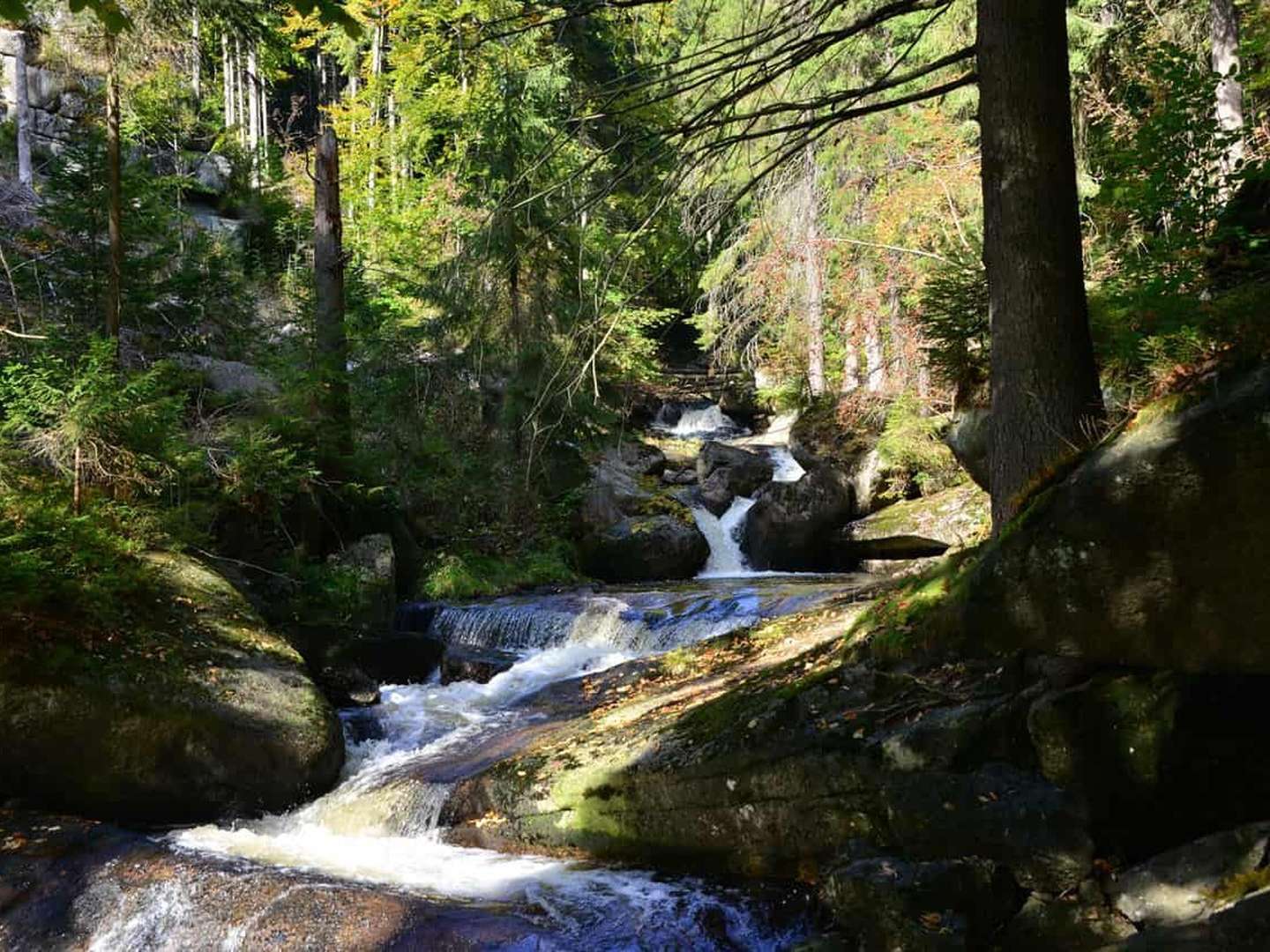 Wellness Auszeit in Desendorf - 4 Nächte  