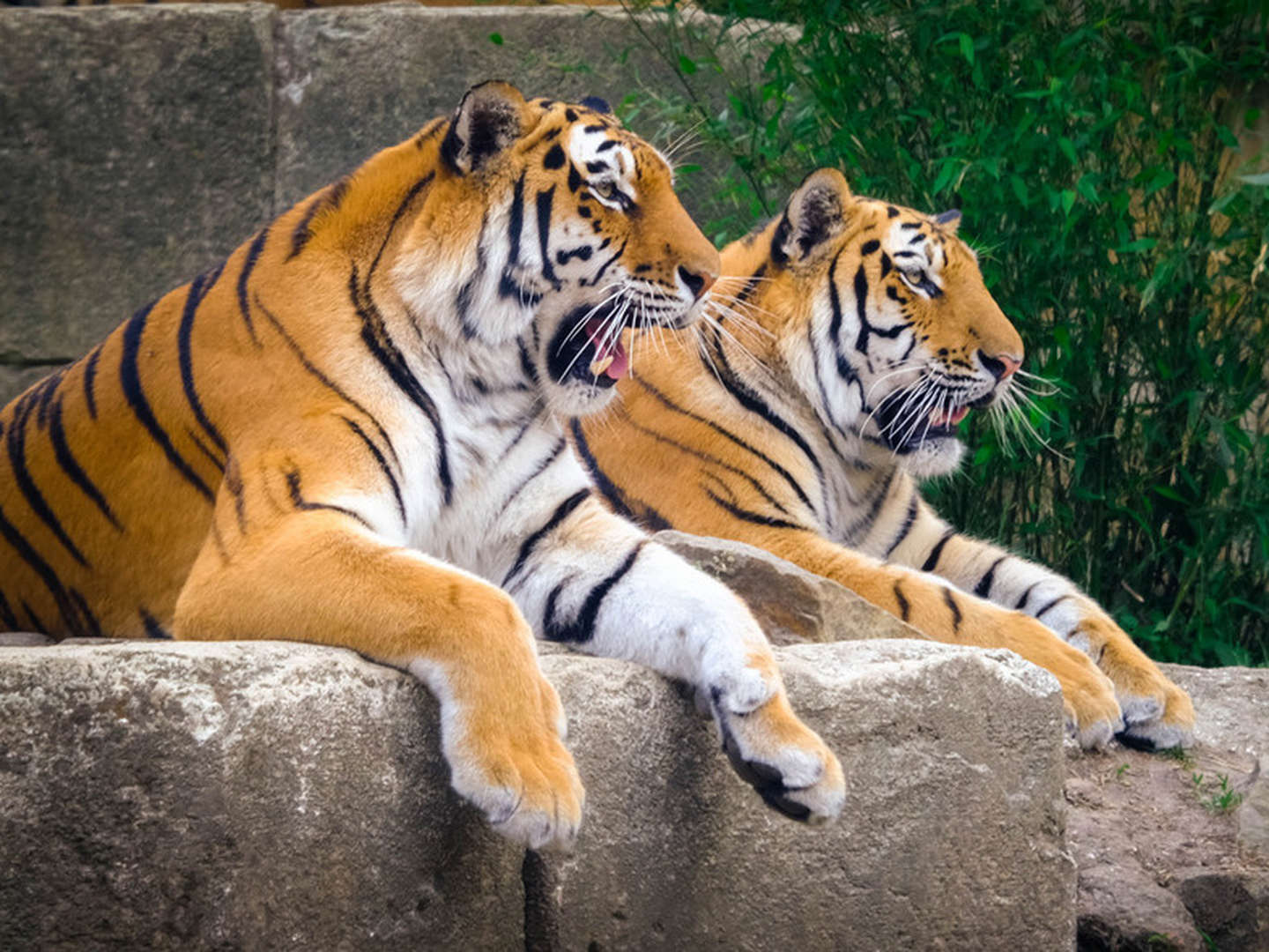 Die Welt der Tiere im Zoo Hannover | 4 Tage 