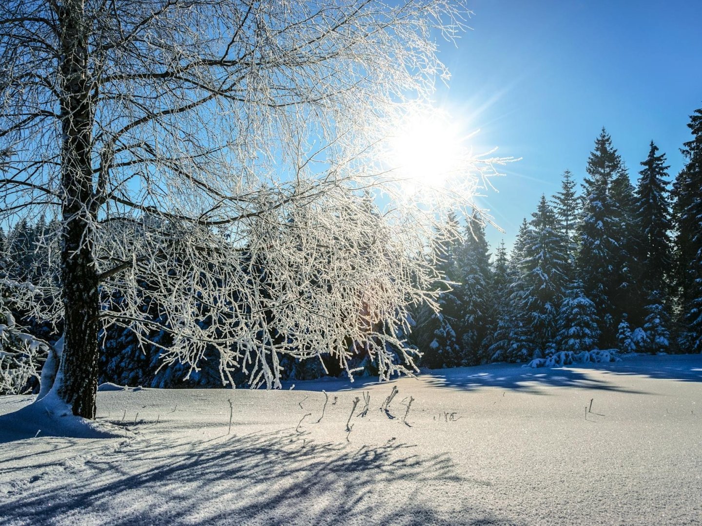 Winter Preiskracher 3 Tage / 2 Nächte in Ottobeuren - exklusiv bei Kurzurlaub.de