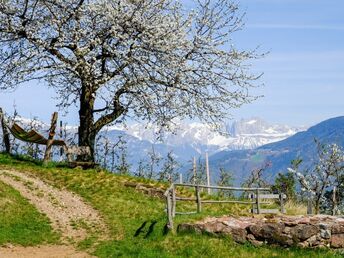 Erholungsurlaub im südtirolerischen Eppan an der Weinstraße | 5 Nächte