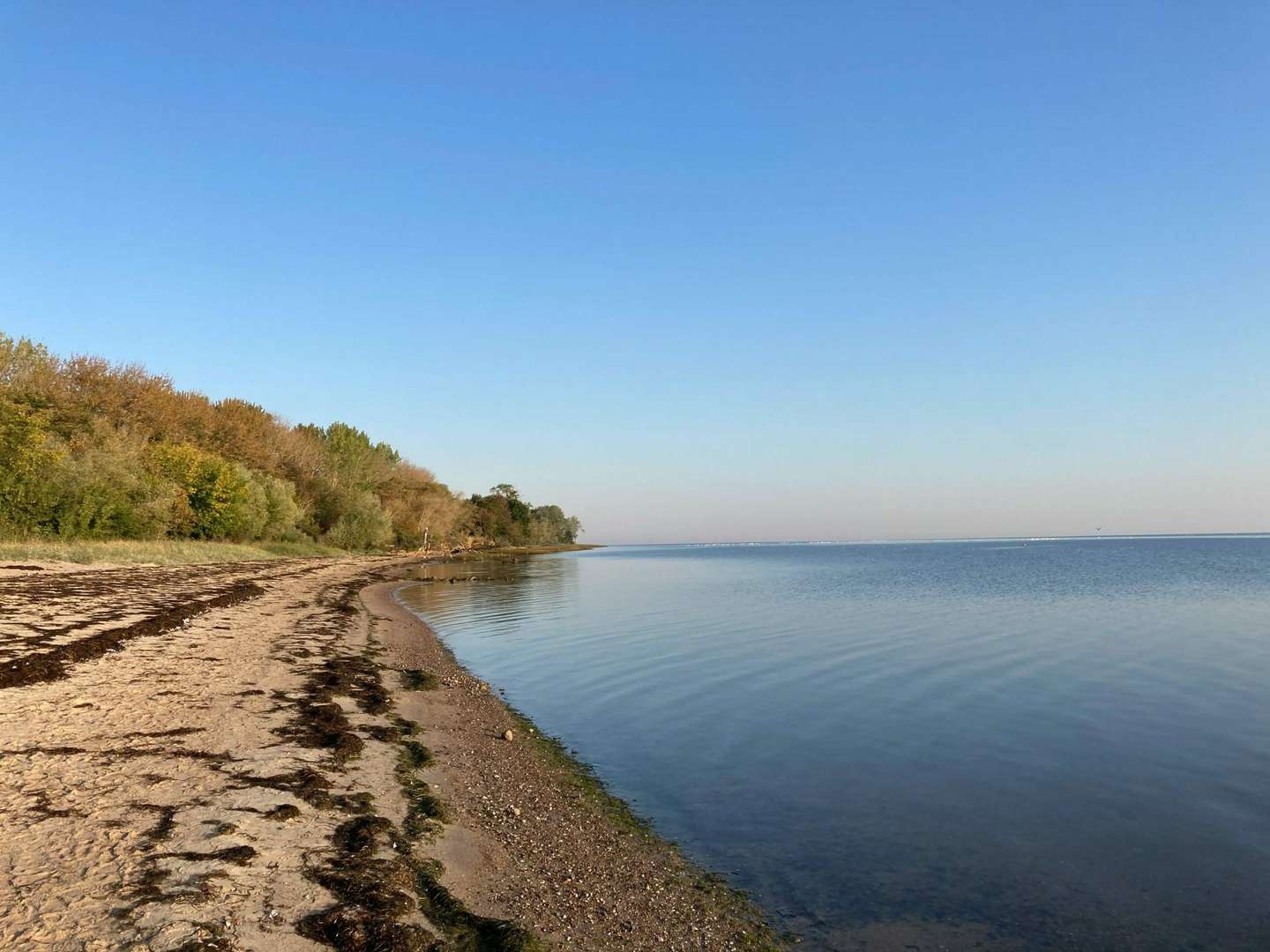 Winterzauber an der Ostsee 6 Nächte 