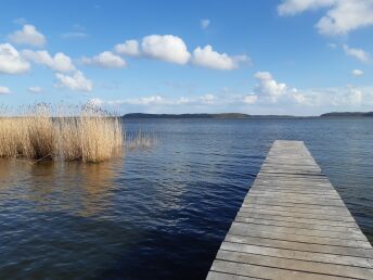 4 Tage Weitblick - Rügen inkl. Eintritt Baumwipfelpfad & Abendessen