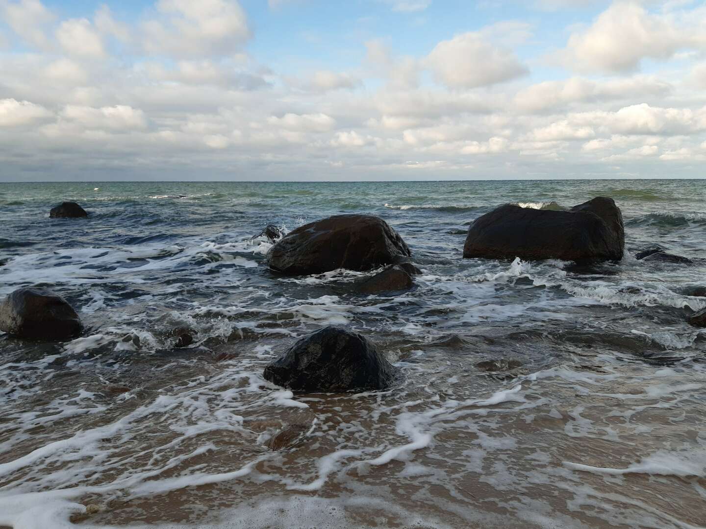 Weitblick - Rügen inkl. Eintritt Baumwipfelpfad & Abendessen