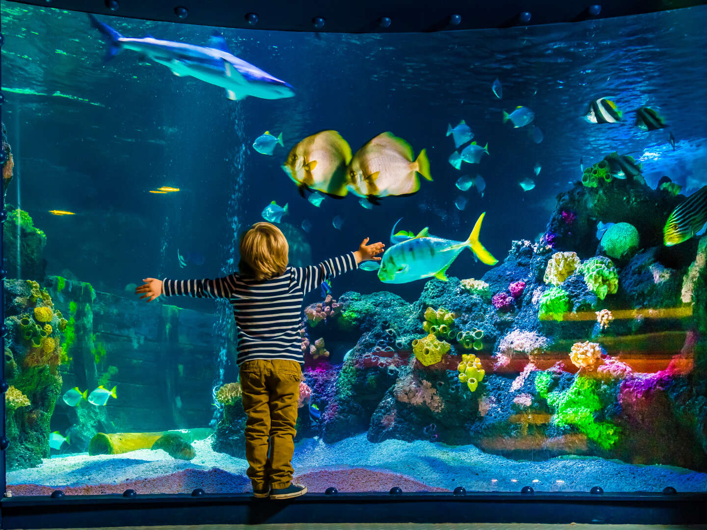 Hockenheim und Umgebung inkl. Sealife und Technikmuseum 