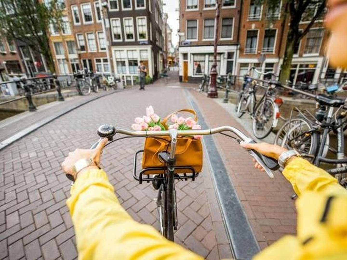 Drei Tage Amsterdam Fahrradpaket