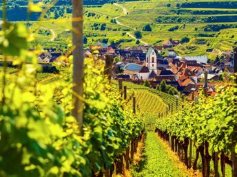 Schönes Land in Sicht - bei Freiburg im Breisgau - 8 Tage inkl. 1 Tag Leihfahrrad