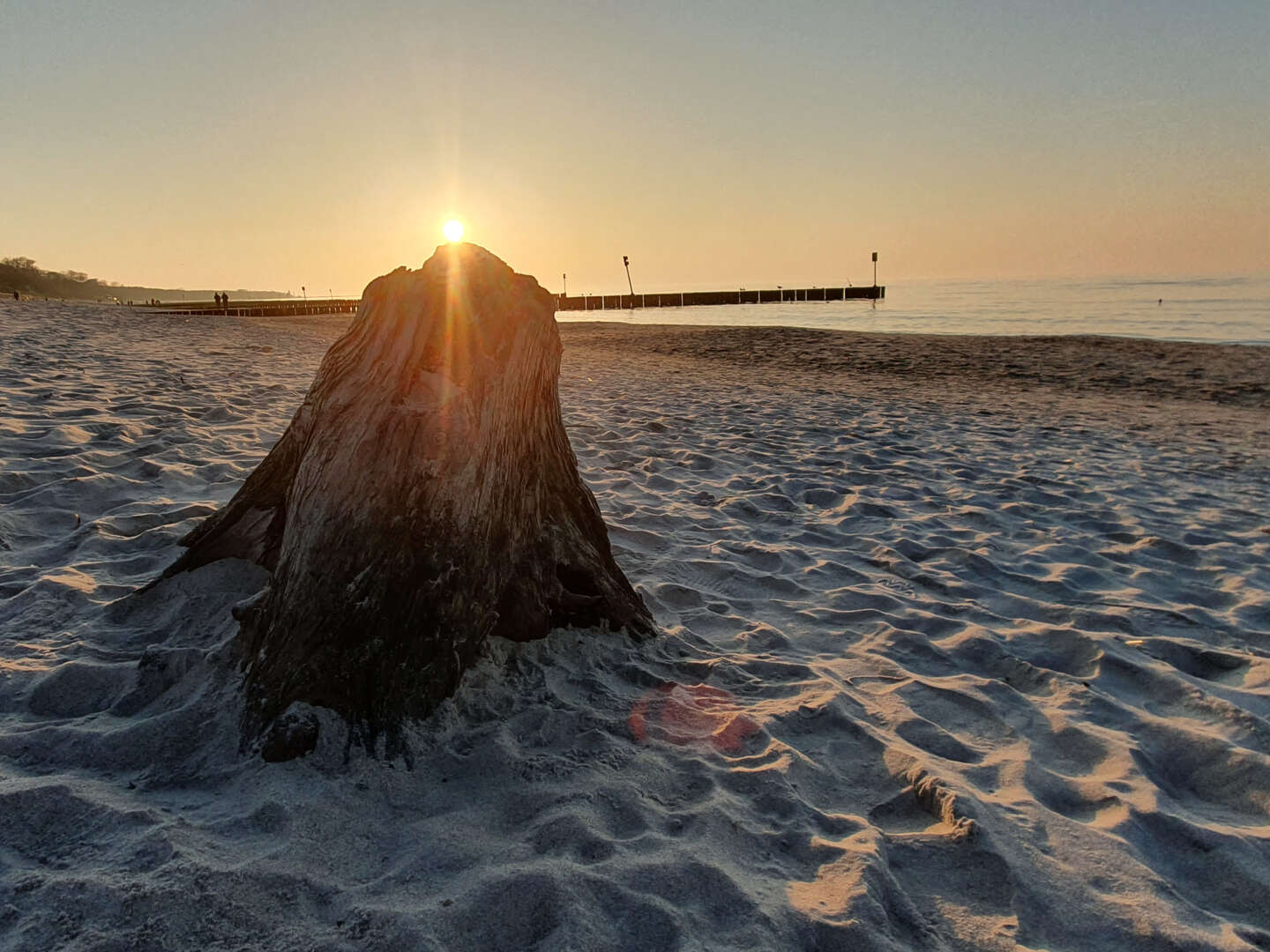 300 Meter vom Strand und Kieferwald | 2ÜF