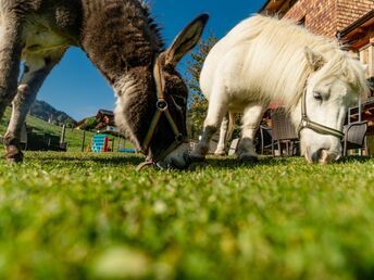 Osterferien - Skifahren bis der Osterhase kommt - 1 Nacht/2 Tage