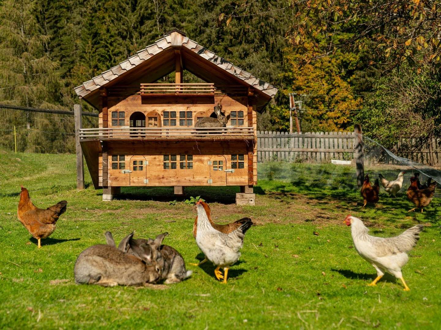 Osterferien - Skifahren bis der Osterhase kommt - 1 Nacht/2 Tage