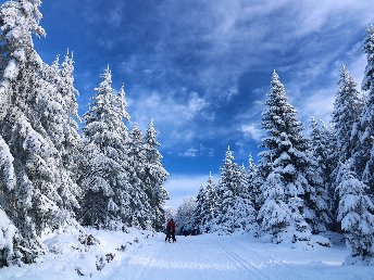 Skifahren im Jänner 3 Nächte