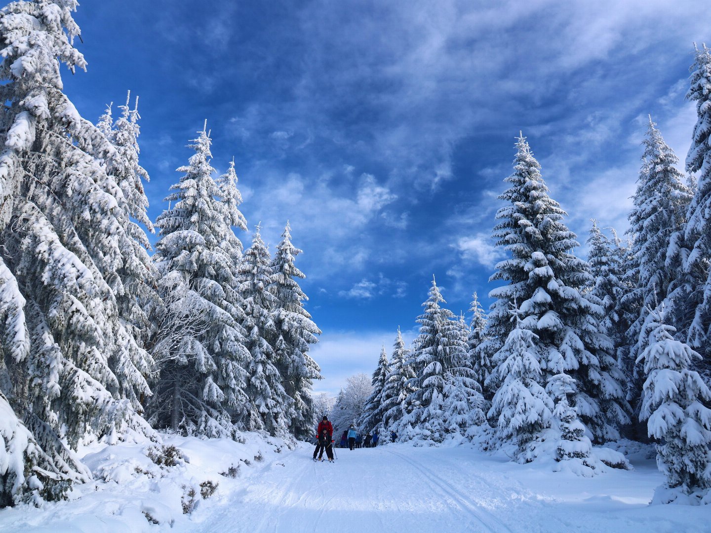 Skifahren im Jänner 3 Nächte