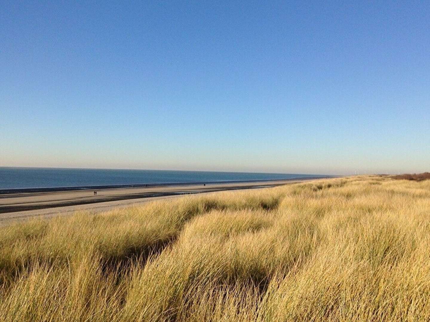 Overnight stay with breakfast an der niederländischen Nordseeküste