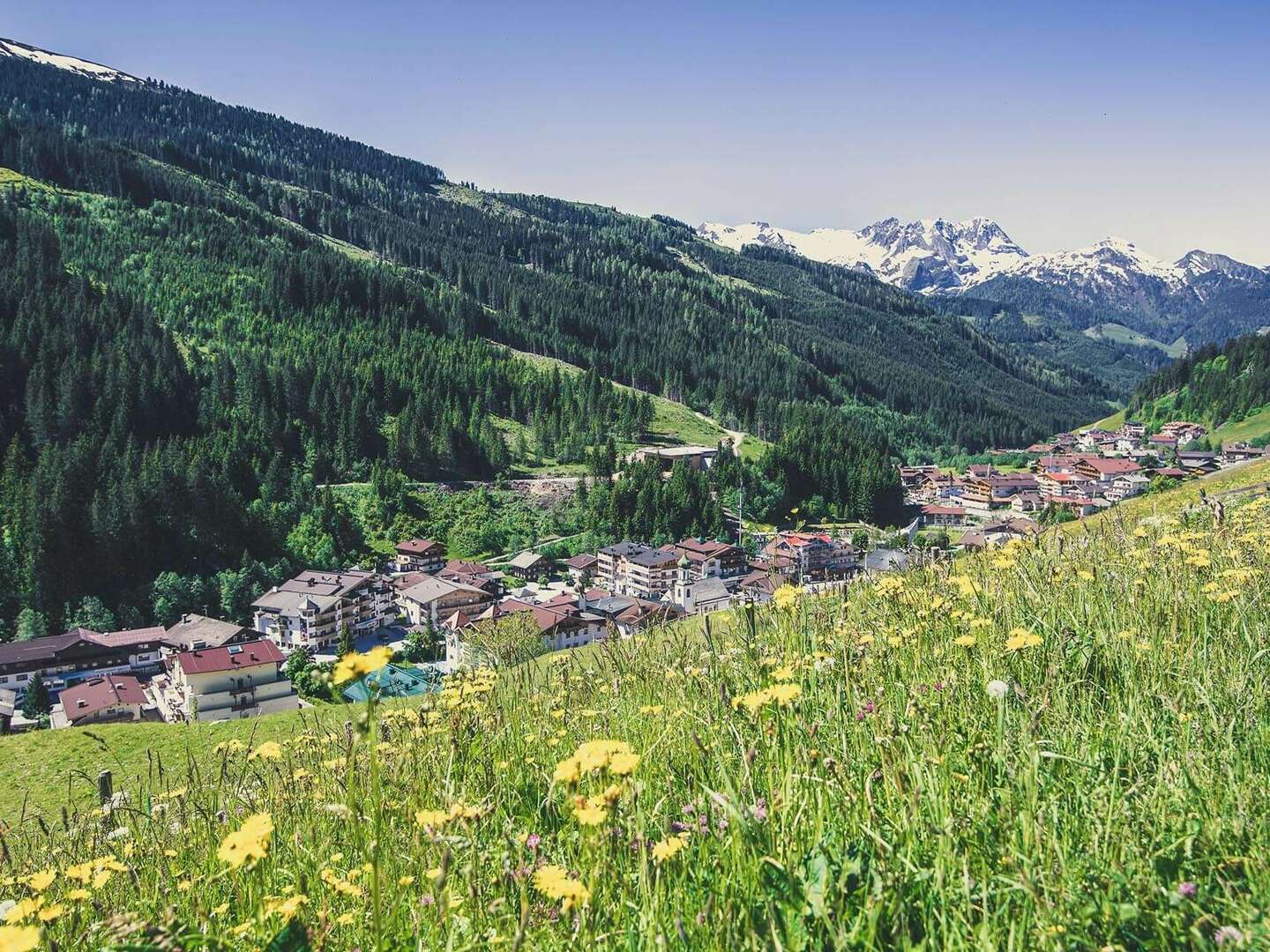 ALMWANDERN im Zillertal | 3 Nächte inkl. Bergfahrt - Appartements