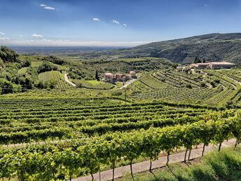 Genussurlaub in der Weinregion Valpolicella inkl. Halbpension | 5 Nächte