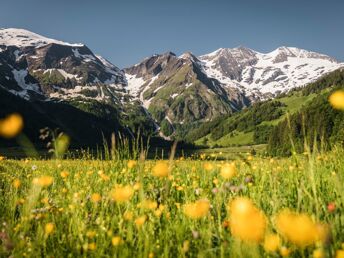 Wanderurlaub im Nationalpark Hohe Tauern mit Wellnessgenuss | 2 Nächte