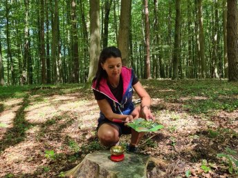 Waldbaden - Tiefenentspannt im Herzen der Südoststeiermark inkl. Picknick-Korb | 2 Nächte