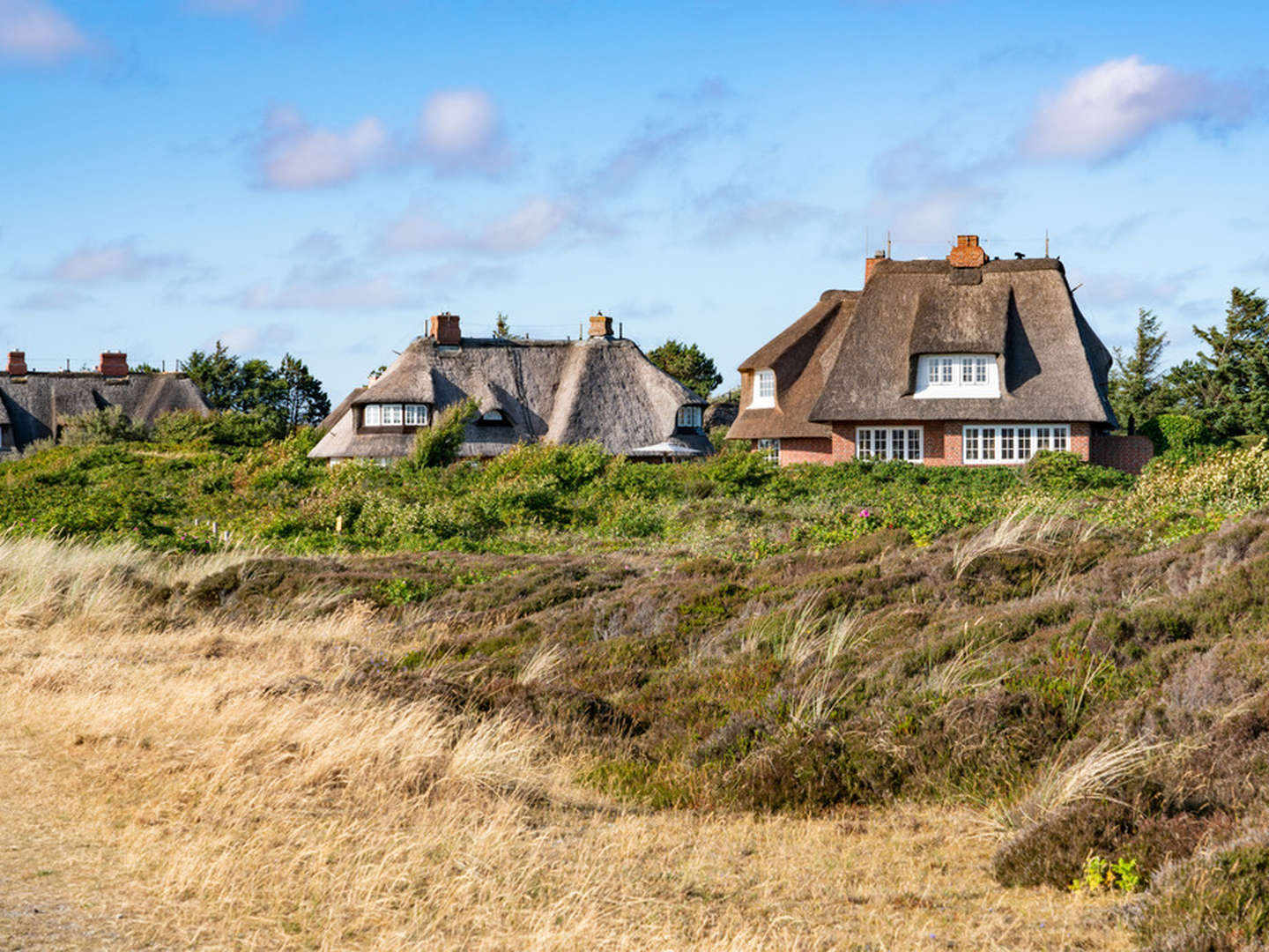 Sylt ist das besondere Licht im Norden inkl. Eintritt ins Aquarium