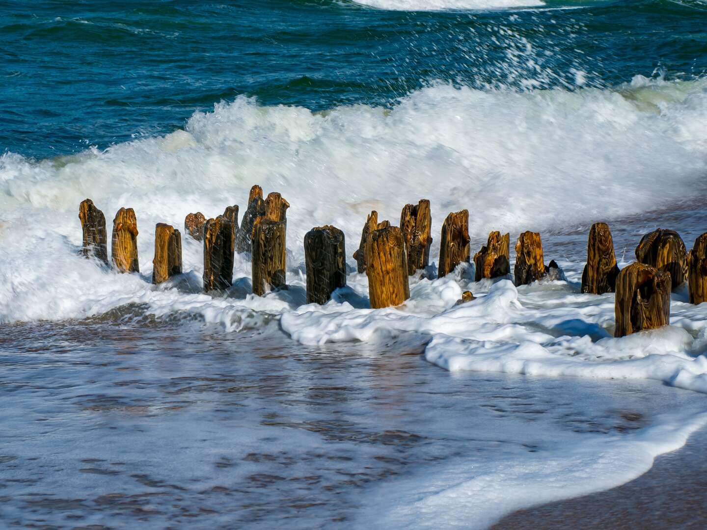 Kuschelwoche auf Sylt