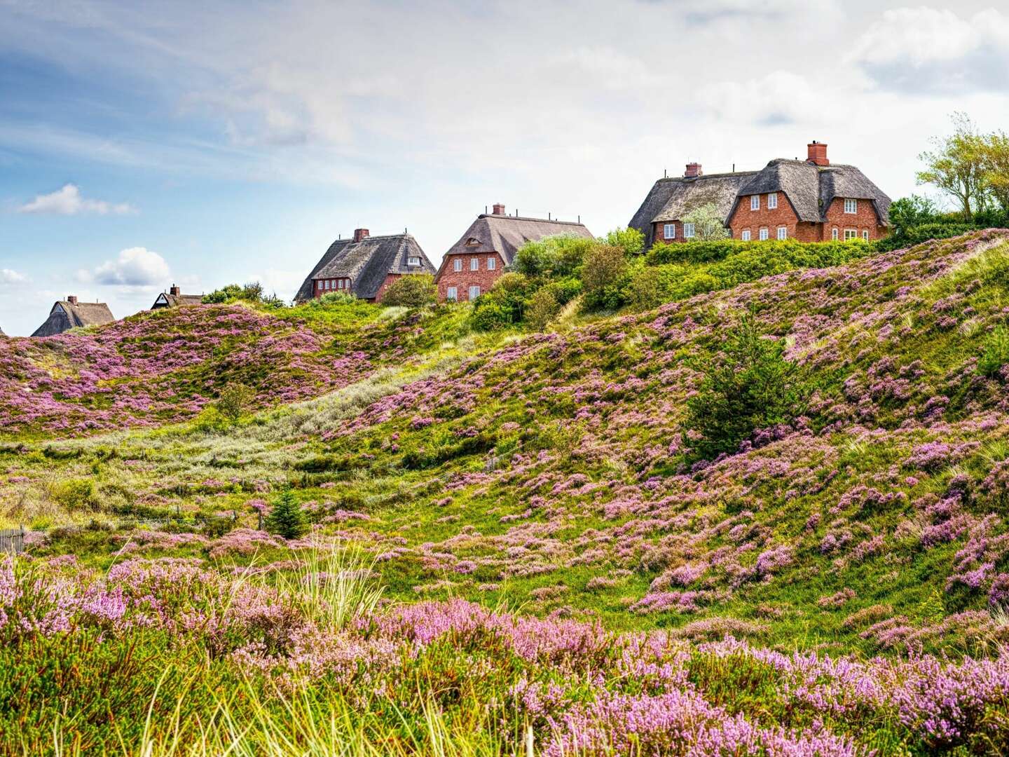 Erleben Sie eine zauberhafte Zeit auf Sylt