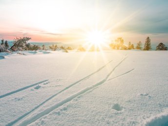 Winter Wonderland in Kärnten - Urlaub am Millstätter See | 3 Nächte