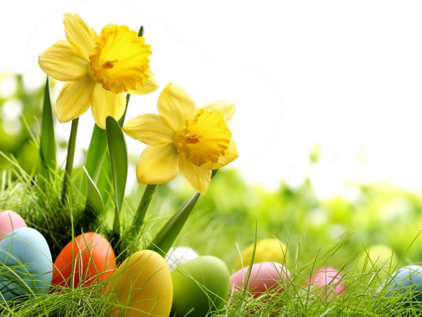 Osterwoche im Familiengut in Kärnten inkl. Osternest Suche für Groß & Klein