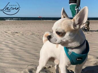 Wanderung am Ostsee-Strand | 6ÜF   