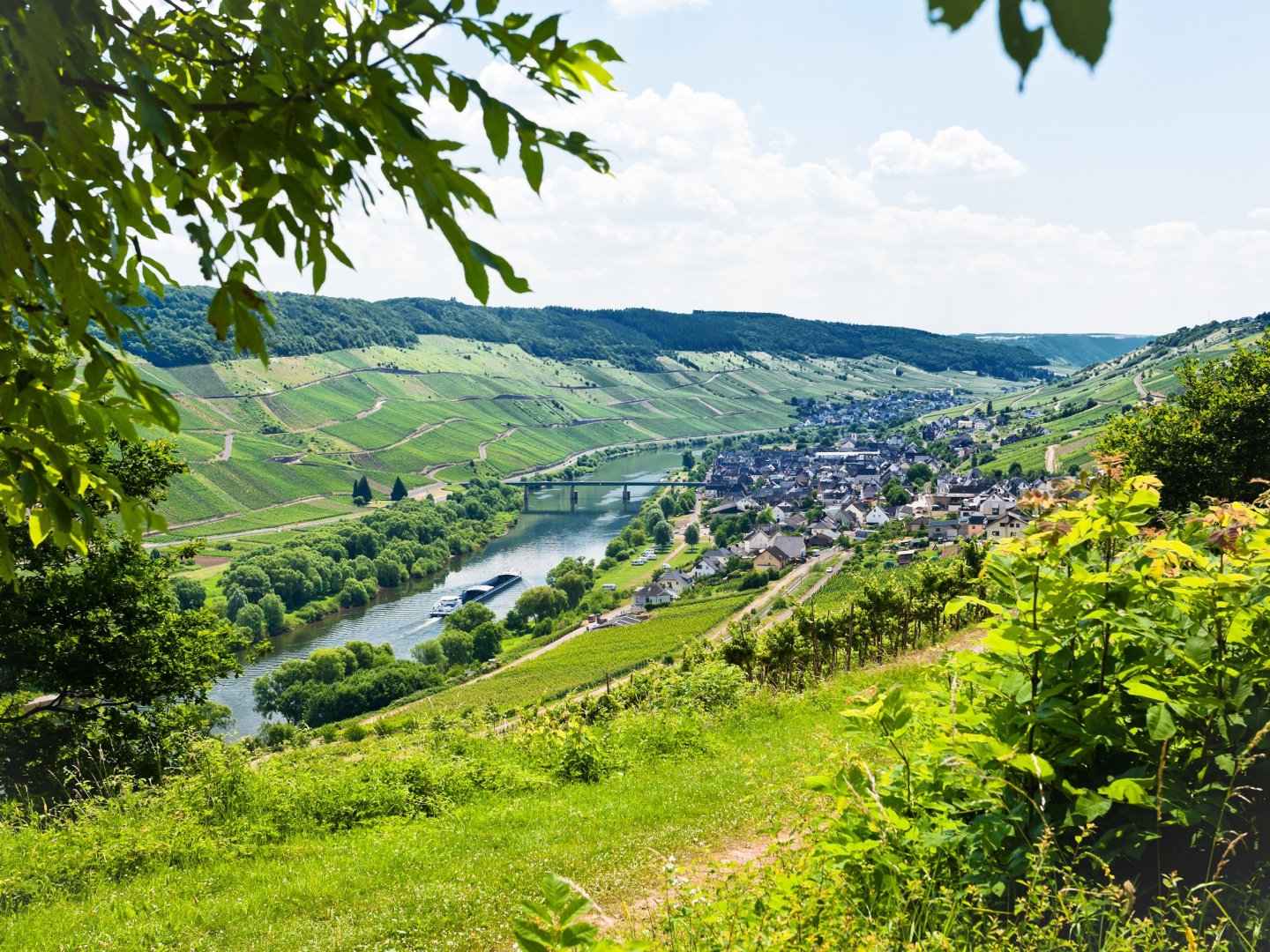 Wanderlust an der Mosel inkl. Lunchpaket