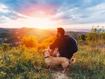 4 Pfoten Spezial  zur Adventszeit - Auszeit mit Hund an der Mosel