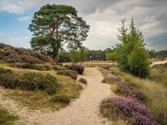 Kurzurlaub in Driebergen in malerischer Landschaft 3 Nächte