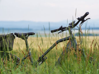 3 Tage pannonischer Kurzurlaub - Auszeit vom Alltag in Lutzmannsburg