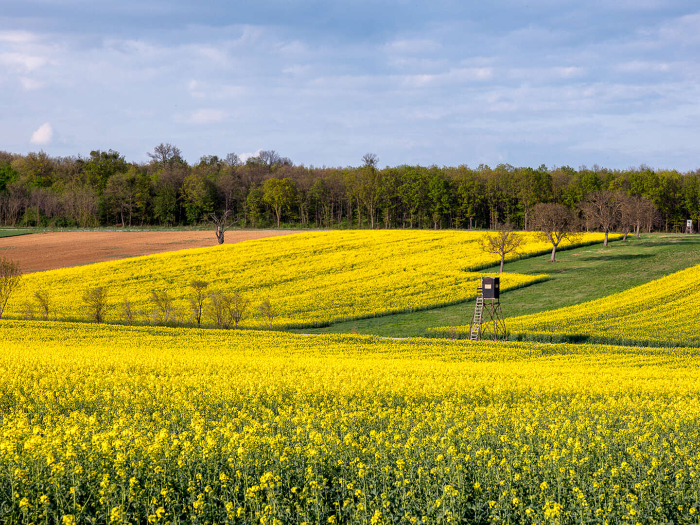 4 Tage pannonischer Kurzurlaub - Auszeit vom Alltag in Lutzmannsburg