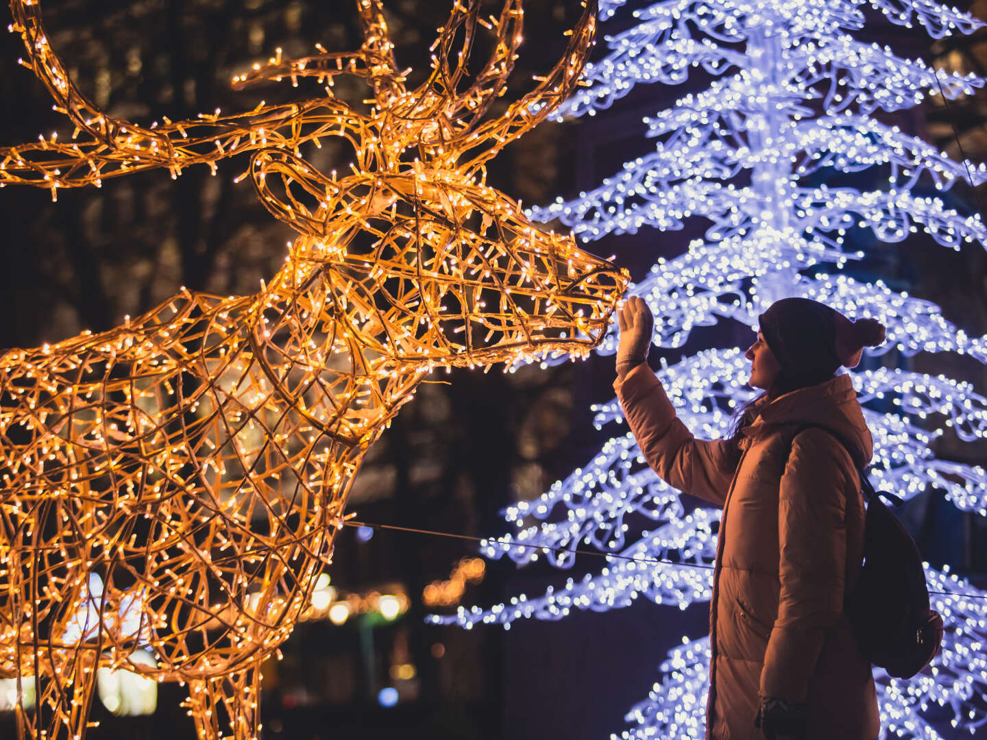 Winterzauber im Christmas Garden Insel Mainau | 3 Tage