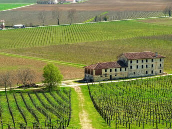 Genussurlaub in Venetien - Pieve di Soligo entdecken | 3x Abendessen | 6 Nächte